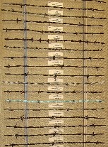 barbed wire display