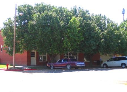 Bison Community Museum